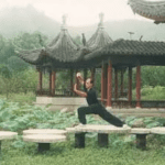 Taller de Tai Chi