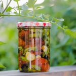 Taller Laboratori de ferments vegetals
