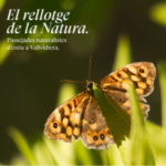 Fauna i natura de Collserola 🌿