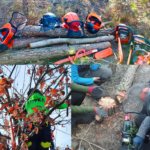 Bocí de Poda i tall no mixte
